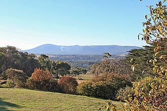 Gisborne background
