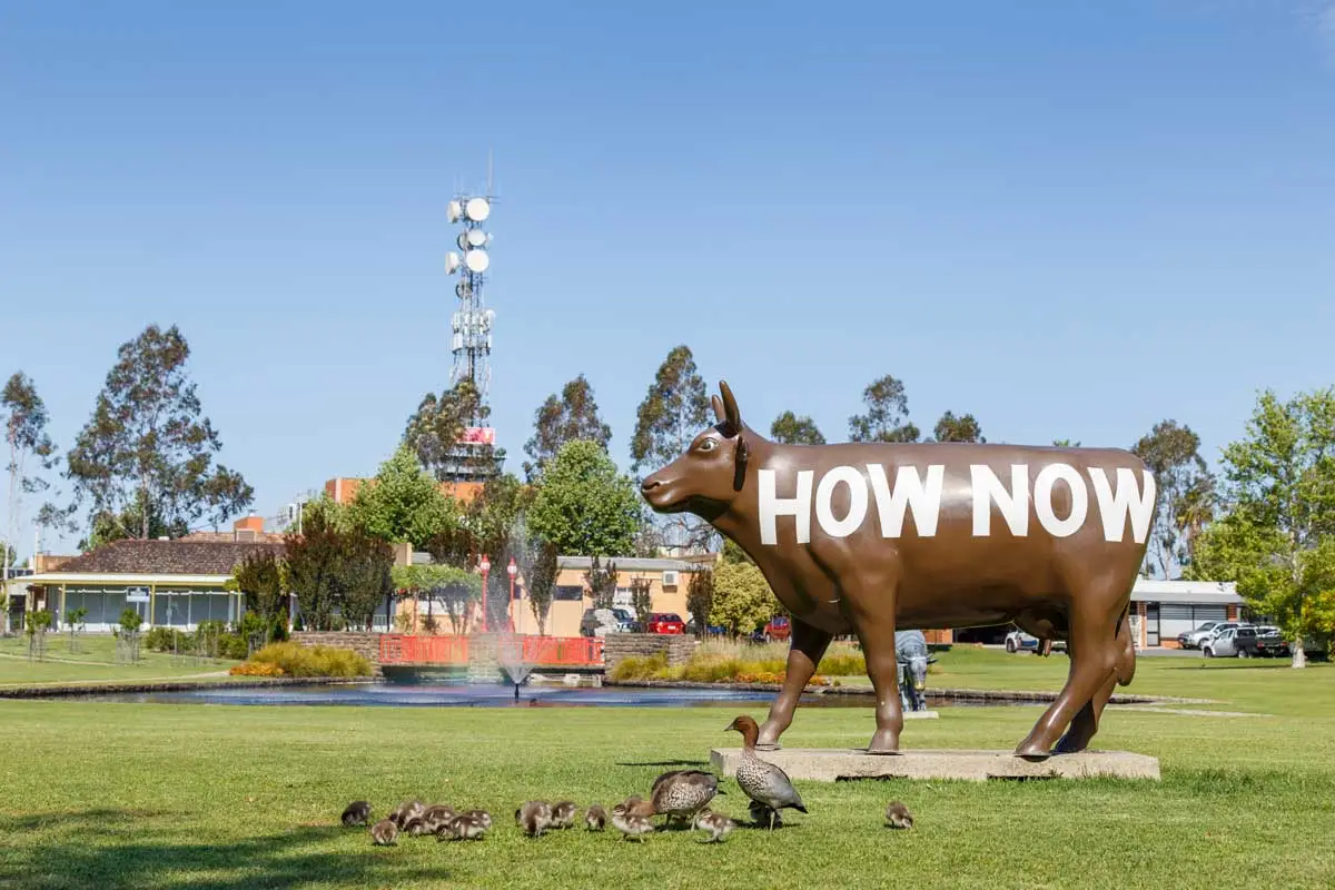 Shepparton background