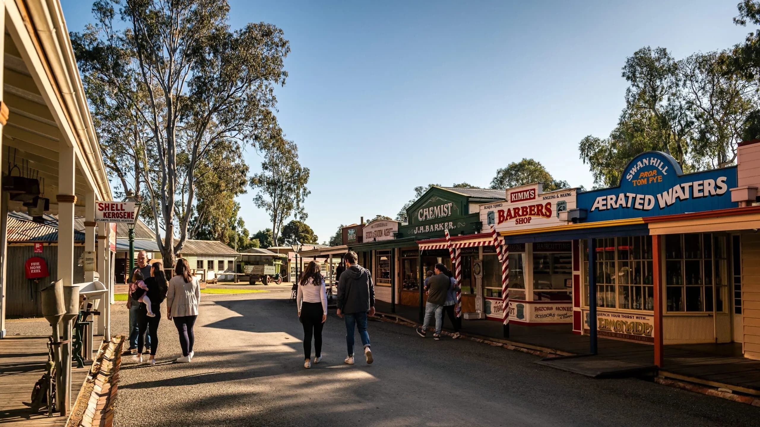 Swan Hill background